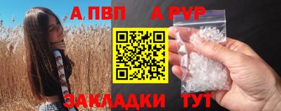 индика Кингисепп