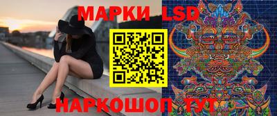 индика Кингисепп
