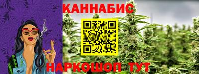 индика Кингисепп