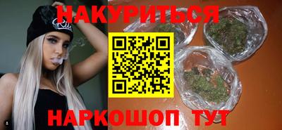 индика Кингисепп