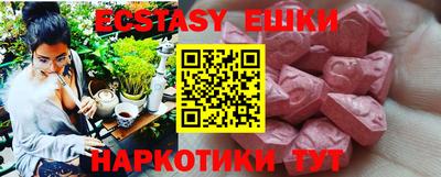 индика Кингисепп