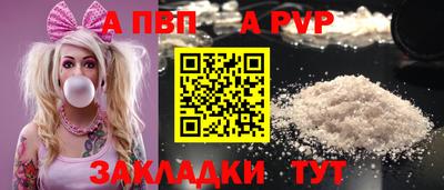 индика Кингисепп