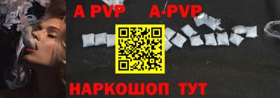 индика Кингисепп