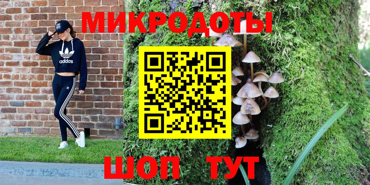 Псилоцибиновые грибы мицелий  Вход с VPN  Тара 