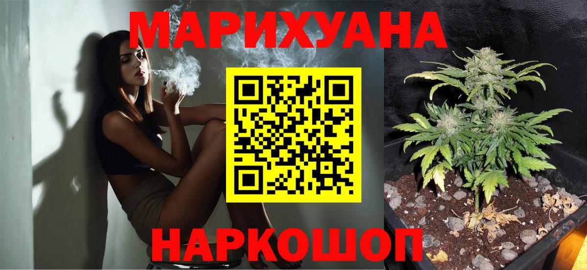 Канабис планчик  Канабис семена  Вход с VPN  Тара  Канабис White Widow 